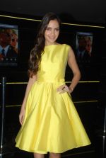 Shazahn Padamsee at Solid Patels trailer launch in Fun on 18th March 2015